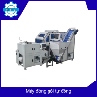 Hệ thống đóng gói tự động
