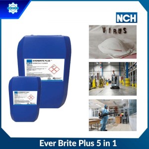 Ever Brite Plus 5 in 1 -  Dung dịch khử khuẩn, làm sạch